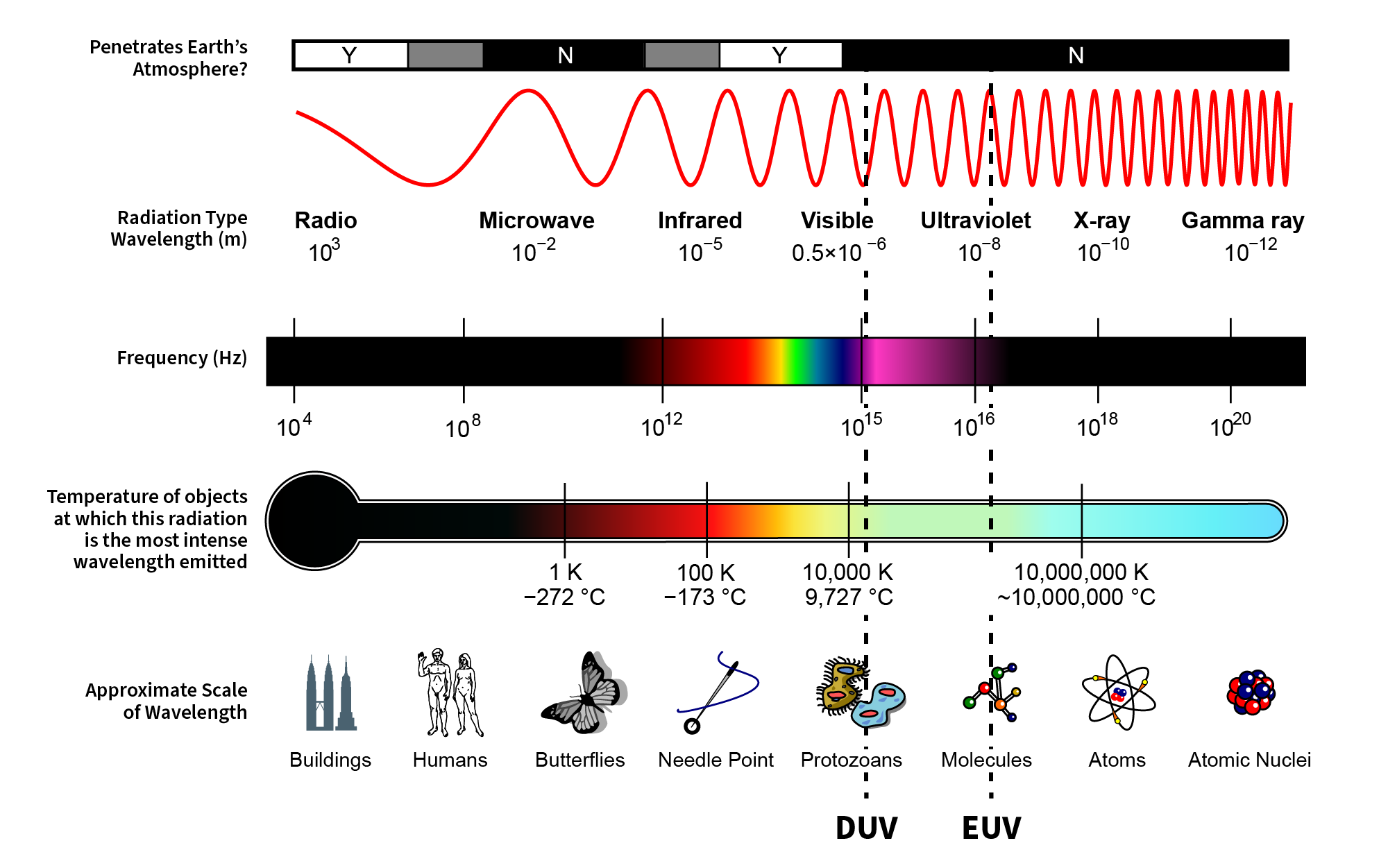 Light spectrum of EUV